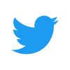 Интеграция Twitter с Blue.cc — синхронизируем Twitter с Blue.cc самостоятельно за 5 минут